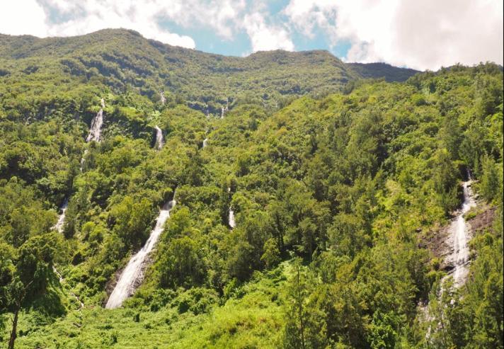 Bunga-Lodge Vanille سانت أندريه المظهر الخارجي الصورة